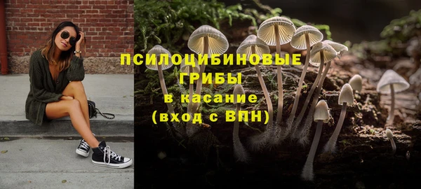 синтетический гашиш Алексин