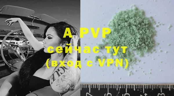 прущие грибы Абдулино