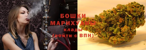 прущие грибы Абдулино