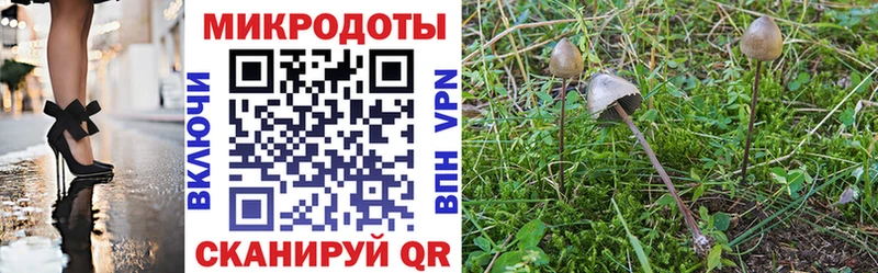 Галлюциногенные грибы Cubensis  Княгинино 